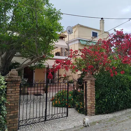 Athina's Mon Repo Análipsis